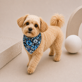 OCEAN DEEP PET BANDANA
